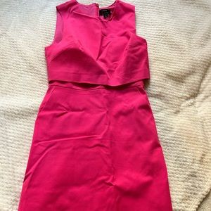J Crew Bright Pink Sheath Dress